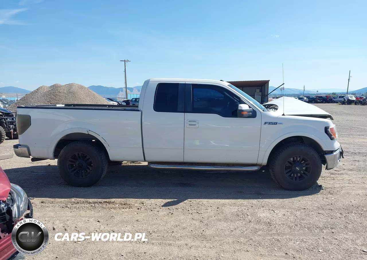 2010 Ford F-150 Fx2 Sport-Lariat-Xl-Xlt VIN:1FTFX1CV9AFB49430 - 14