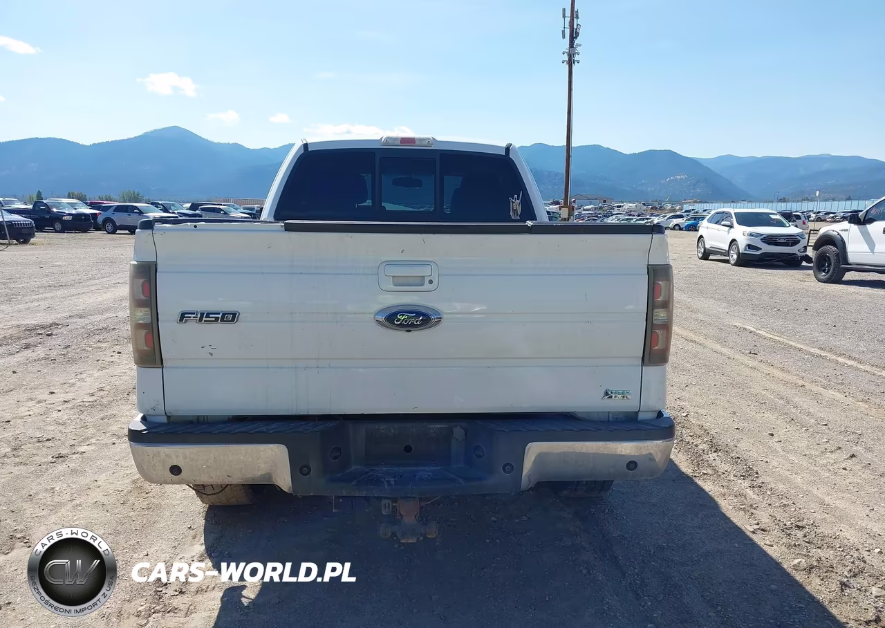 2010 Ford F-150 Fx2 Sport-Lariat-Xl-Xlt VIN:1FTFX1CV9AFB49430 - 17