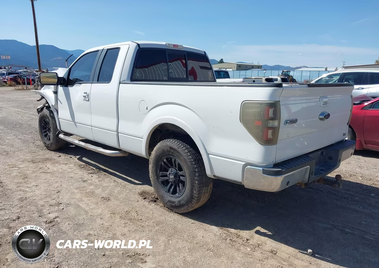 2010 Ford F-150 Fx2 Sport-Lariat-Xl-Xlt VIN:1FTFX1CV9AFB49430 - 3
