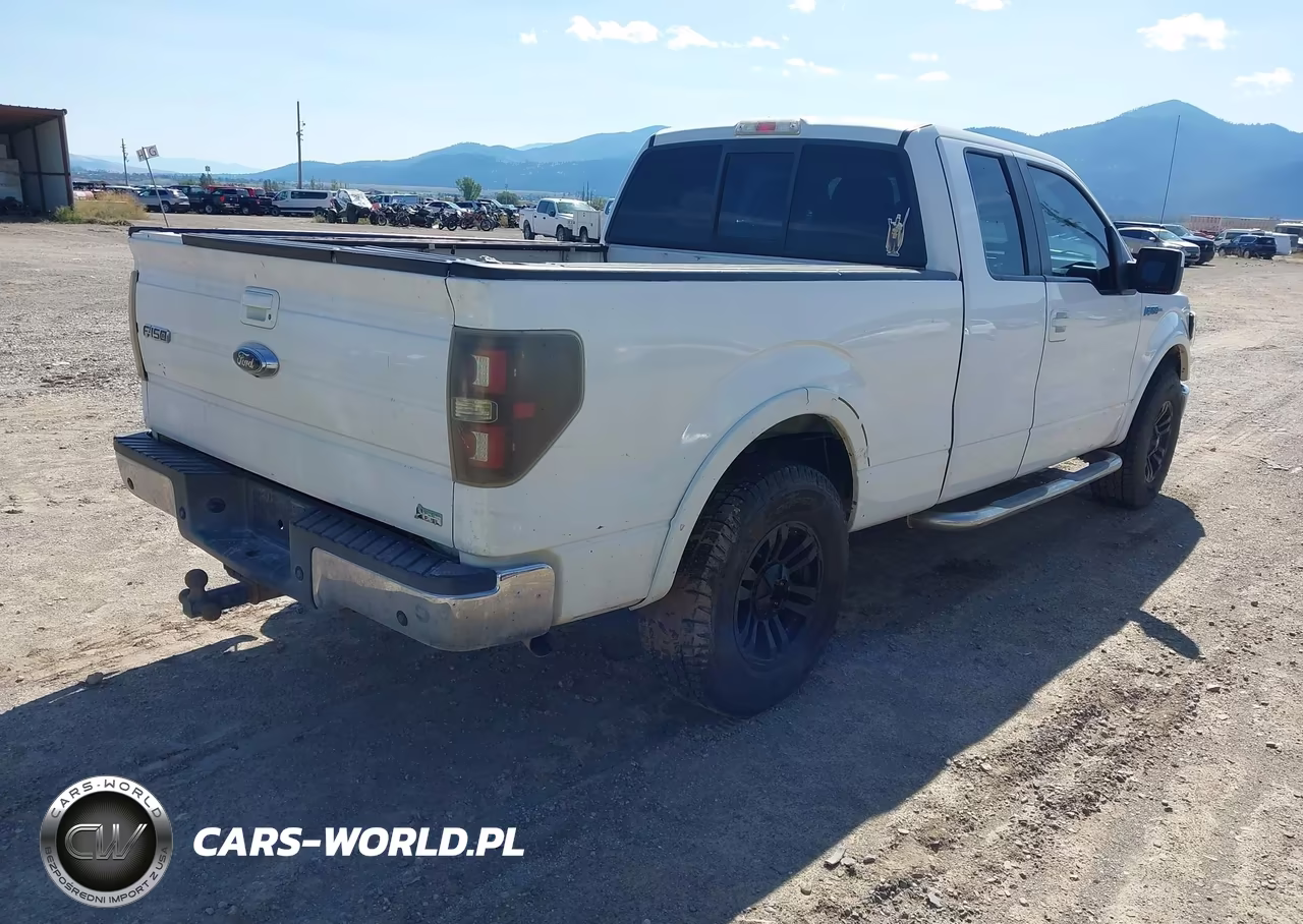 2010 Ford F-150 Fx2 Sport-Lariat-Xl-Xlt VIN:1FTFX1CV9AFB49430 - 4
