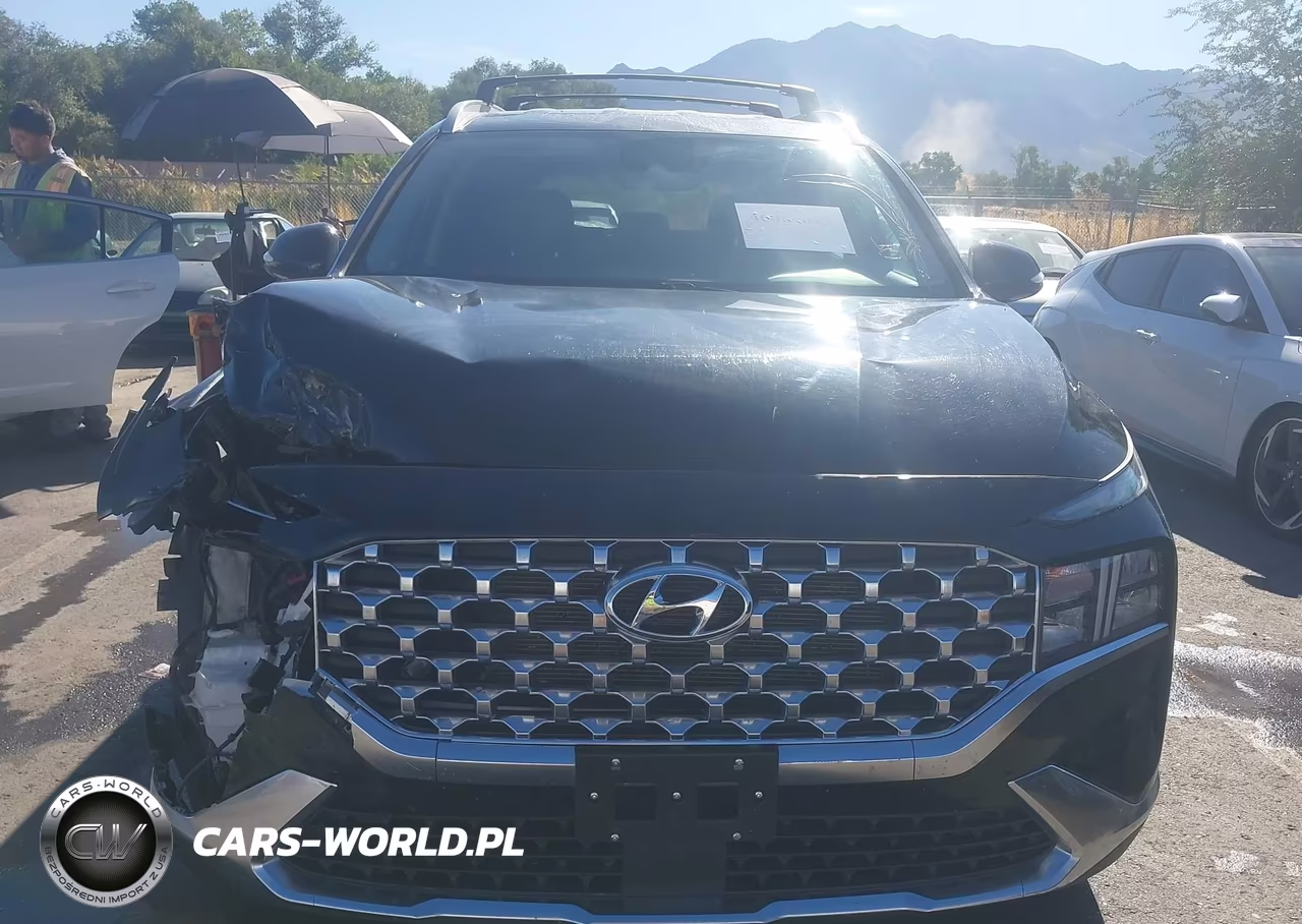 2022 Hyundai Santa Fe Sel VIN:5NMS6DAJ4NH420647 - 12