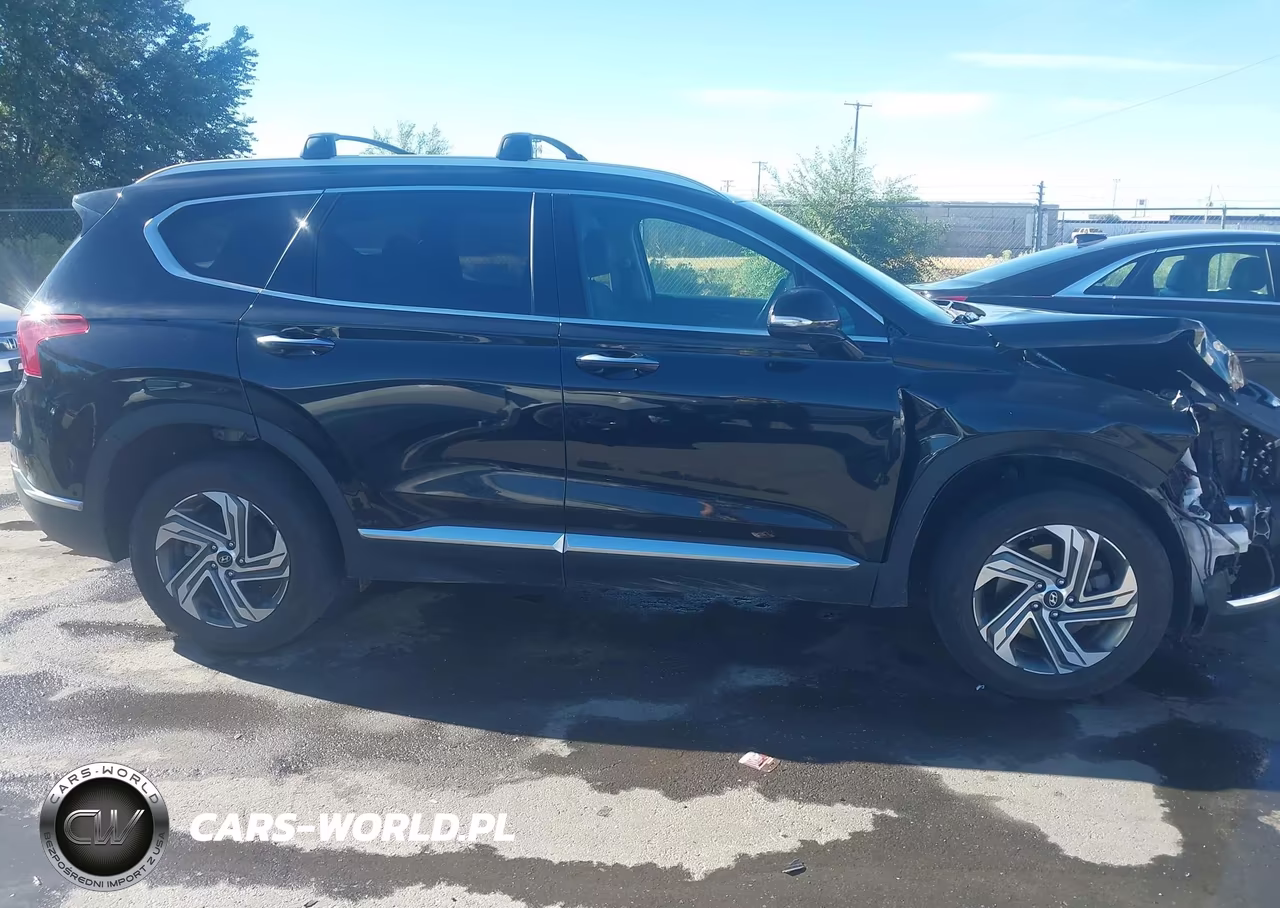 2022 Hyundai Santa Fe Sel VIN:5NMS6DAJ4NH420647 - 13