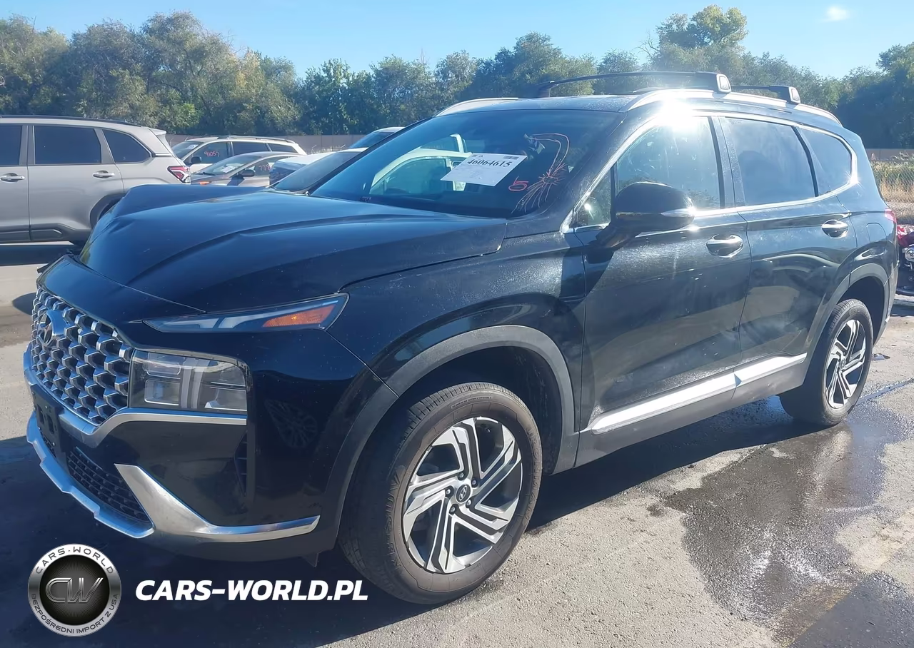 2022 Hyundai Santa Fe Sel VIN:5NMS6DAJ4NH420647 - 2