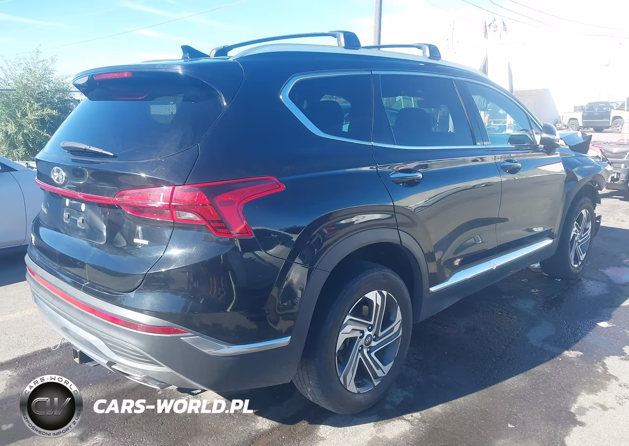 2022 Hyundai Santa Fe Sel VIN:5NMS6DAJ4NH420647 - 4