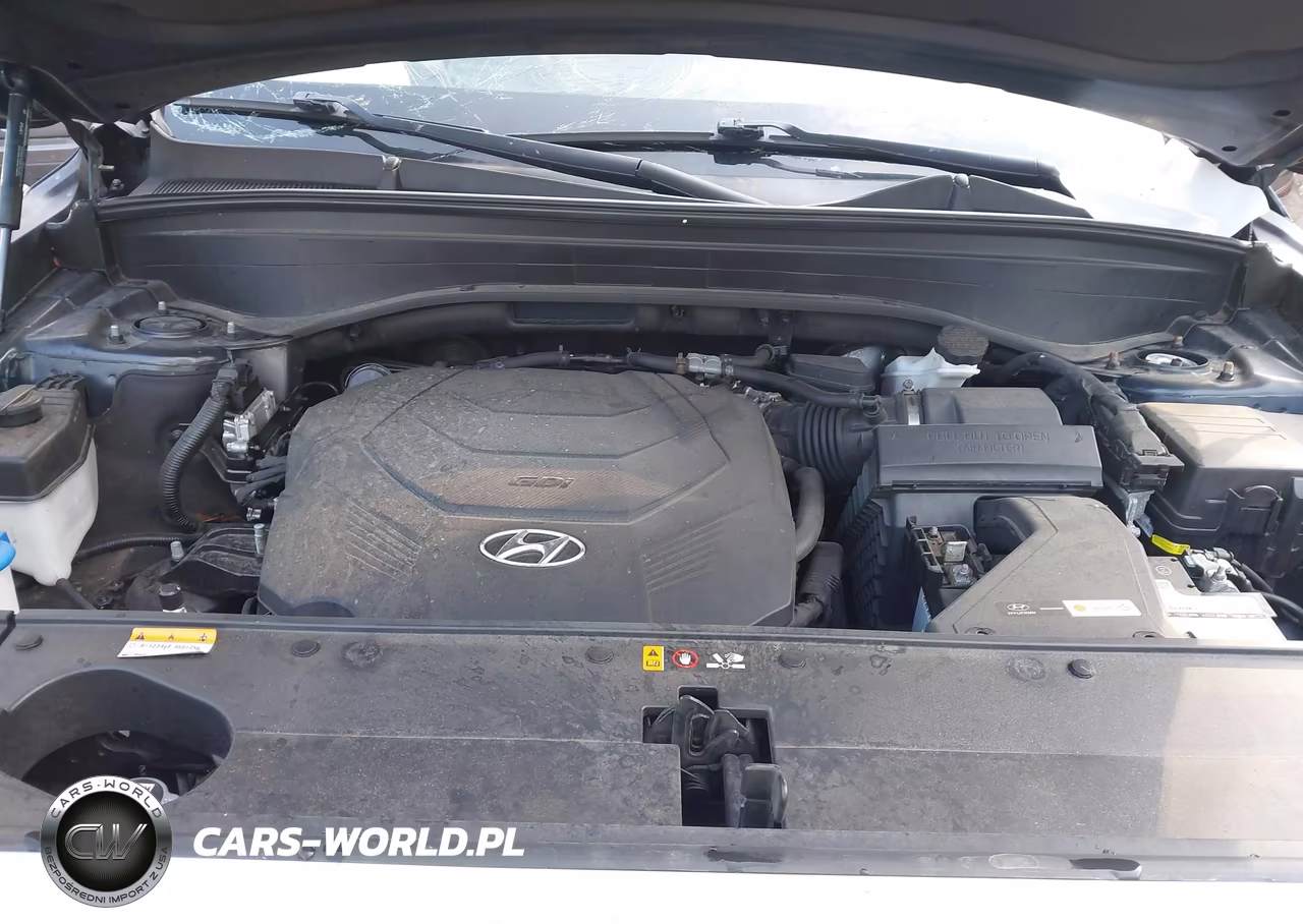2021 Hyundai Palisade Sel VIN:KM8R4DHE6MU241316 - 10