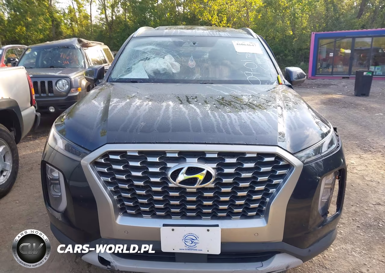 2021 Hyundai Palisade Sel VIN:KM8R4DHE6MU241316 - 12