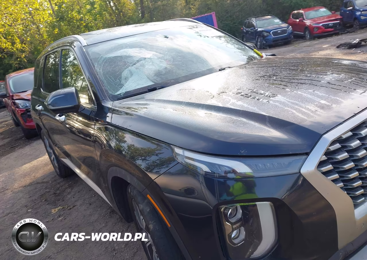 2021 Hyundai Palisade Sel VIN:KM8R4DHE6MU241316 - 13