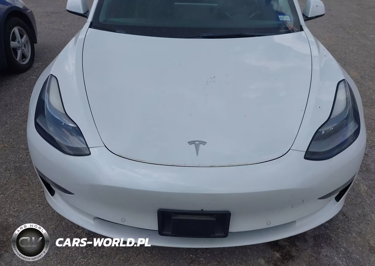 2021 Tesla Model 3 Long Range Dual Motor All-Wheel Drive VIN:5YJ3E1EB4MF095829 - 10