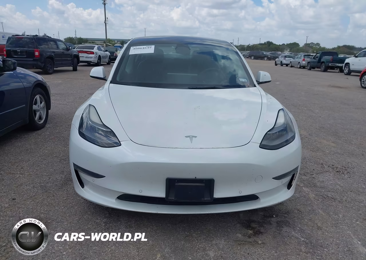 2021 Tesla Model 3 Long Range Dual Motor All-Wheel Drive VIN:5YJ3E1EB4MF095829 - 12