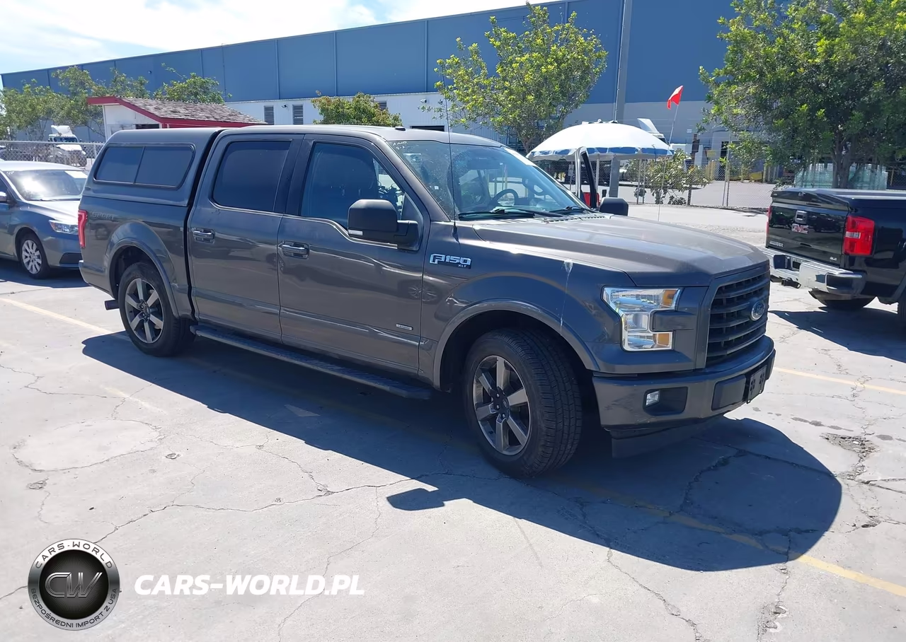 2017 Ford F-150 Xlt VIN:1FTEW1CP8HKD19360 - 1