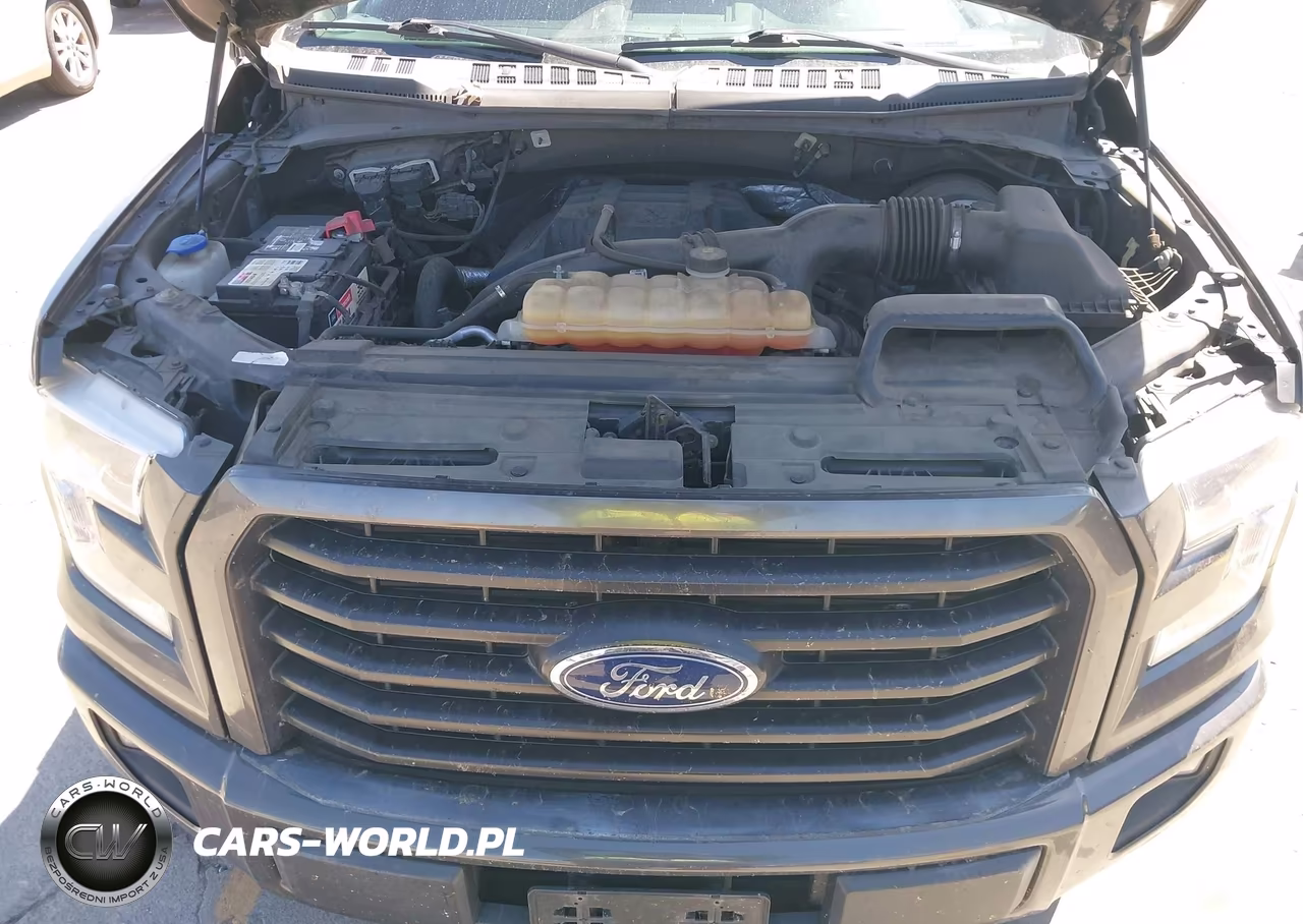 2017 Ford F-150 Xlt VIN:1FTEW1CP8HKD19360 - 10