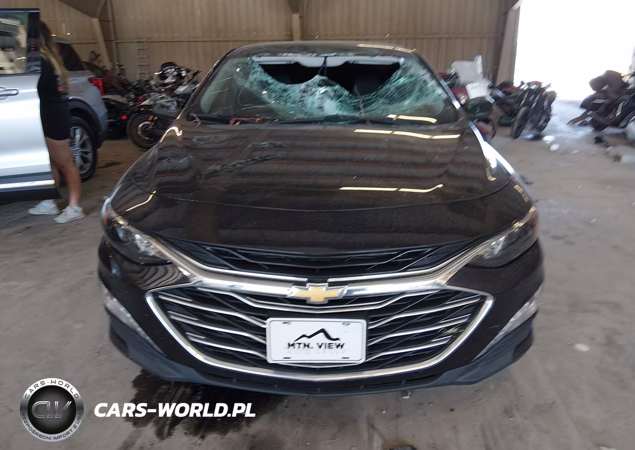 2023 Chevrolet Malibu Fwd 1Lt VIN:1G1ZD5ST2PF220417 - 12