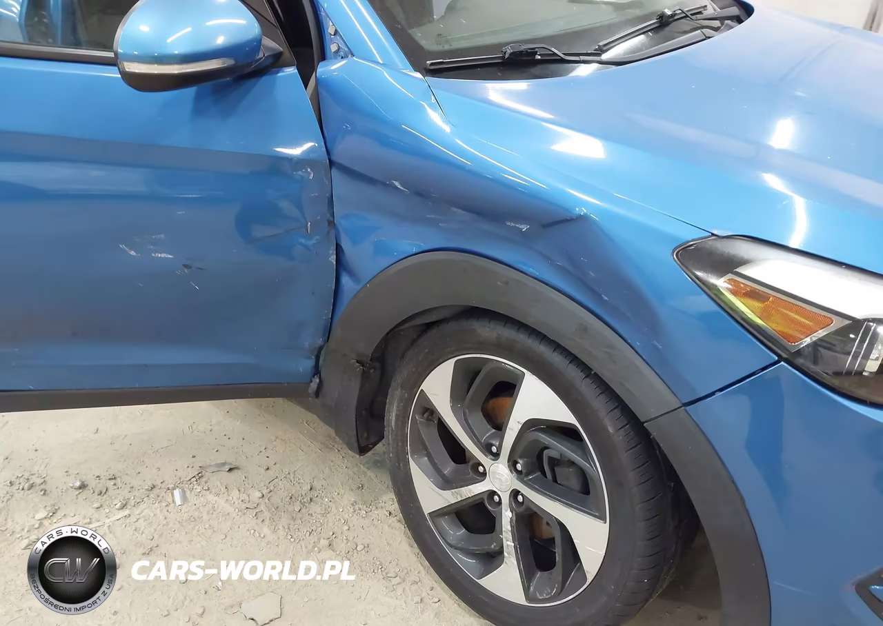 2016 Hyundai Tucson Sport VIN:KM8J3CA23GU231230 - 6