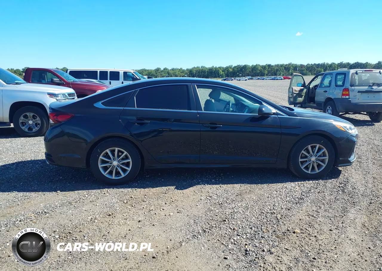 2018 Hyundai Sonata Eco VIN:5NPE24AA5JH698530 - 13