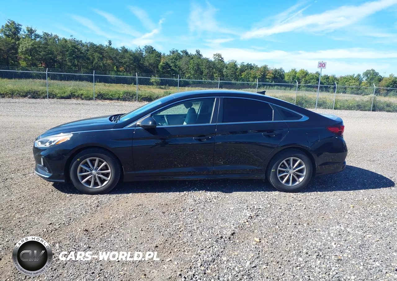 2018 Hyundai Sonata Eco VIN:5NPE24AA5JH698530 - 14