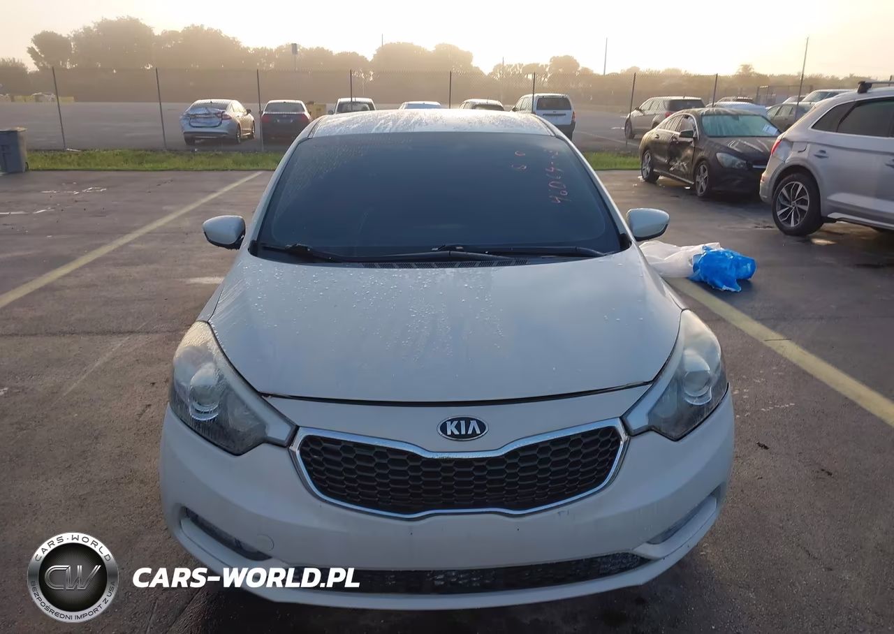 2015 Kia Forte Lx VIN:KNAFK4A66F5411104 - 13