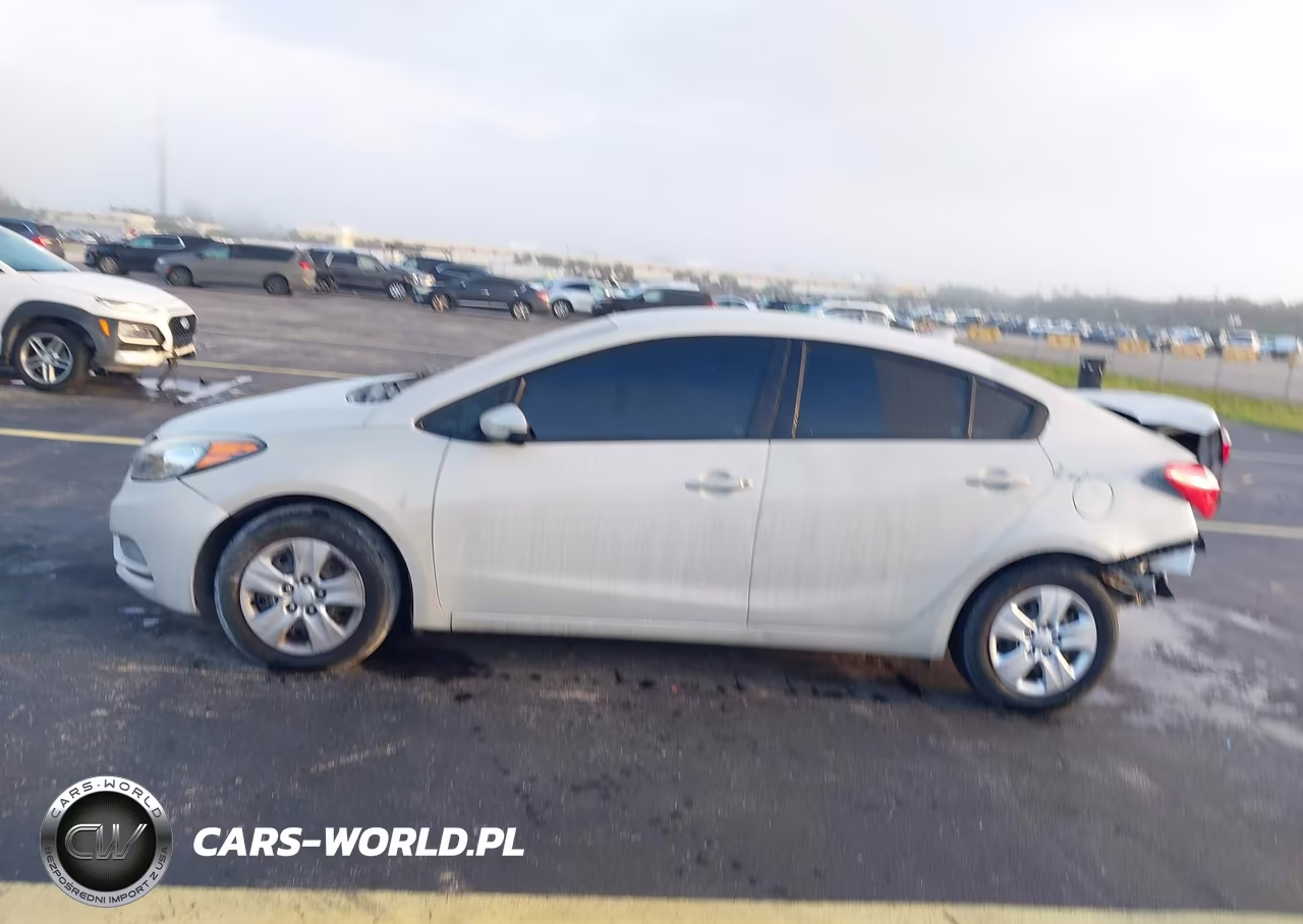 2015 Kia Forte Lx VIN:KNAFK4A66F5411104 - 15