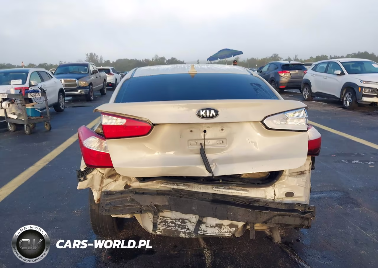 2015 Kia Forte Lx VIN:KNAFK4A66F5411104 - 17