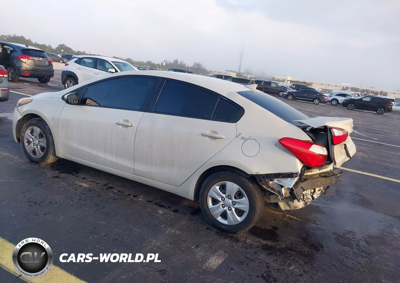 2015 Kia Forte Lx VIN:KNAFK4A66F5411104 - 3