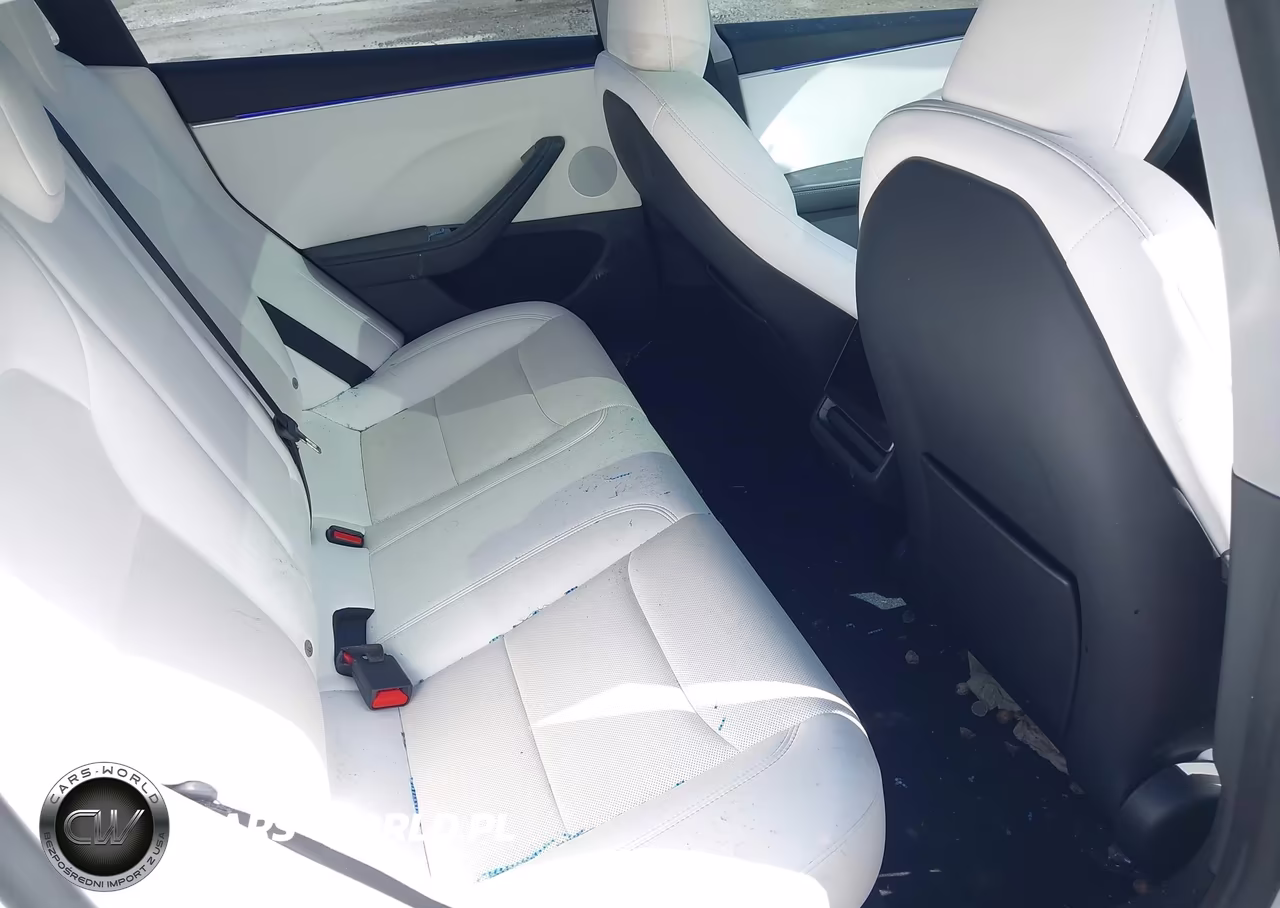 2024 Tesla Model 3 Long Range Dual Motor All-Wheel Drive-Rear-Wheel Drive VIN:5YJ3E1EA8RF831914 - 8