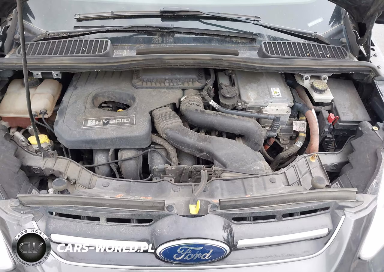 2016 Ford C-Max Hybrid Sel VIN:1FADP5BU8GL107421 - 10