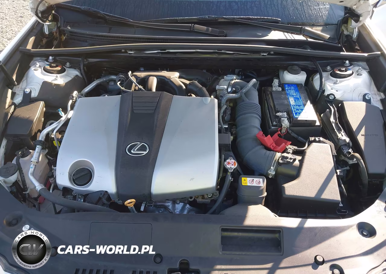2024 Lexus Es 350 VIN:58ADZ1B12RU166260 - 10