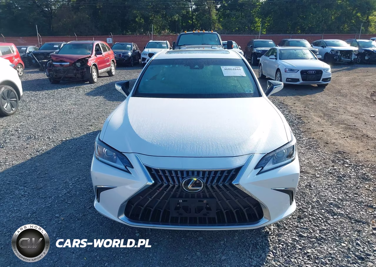 2024 Lexus Es 350 VIN:58ADZ1B12RU166260 - 12