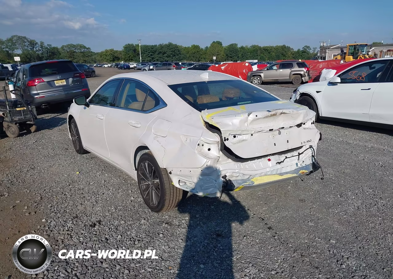 2024 Lexus Es 350 VIN:58ADZ1B12RU166260 - 6