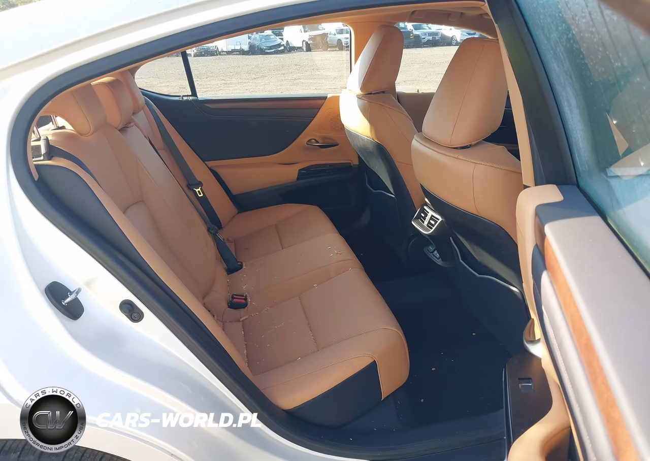 2024 Lexus Es 350 VIN:58ADZ1B12RU166260 - 8