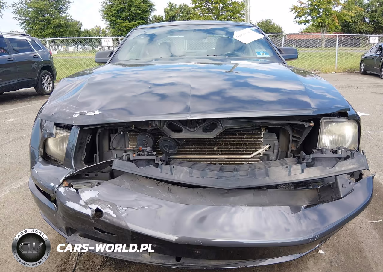 2008 Ford Mustang Gt Deluxe-Gt Premium VIN:1ZVHT82H785138688 - 12