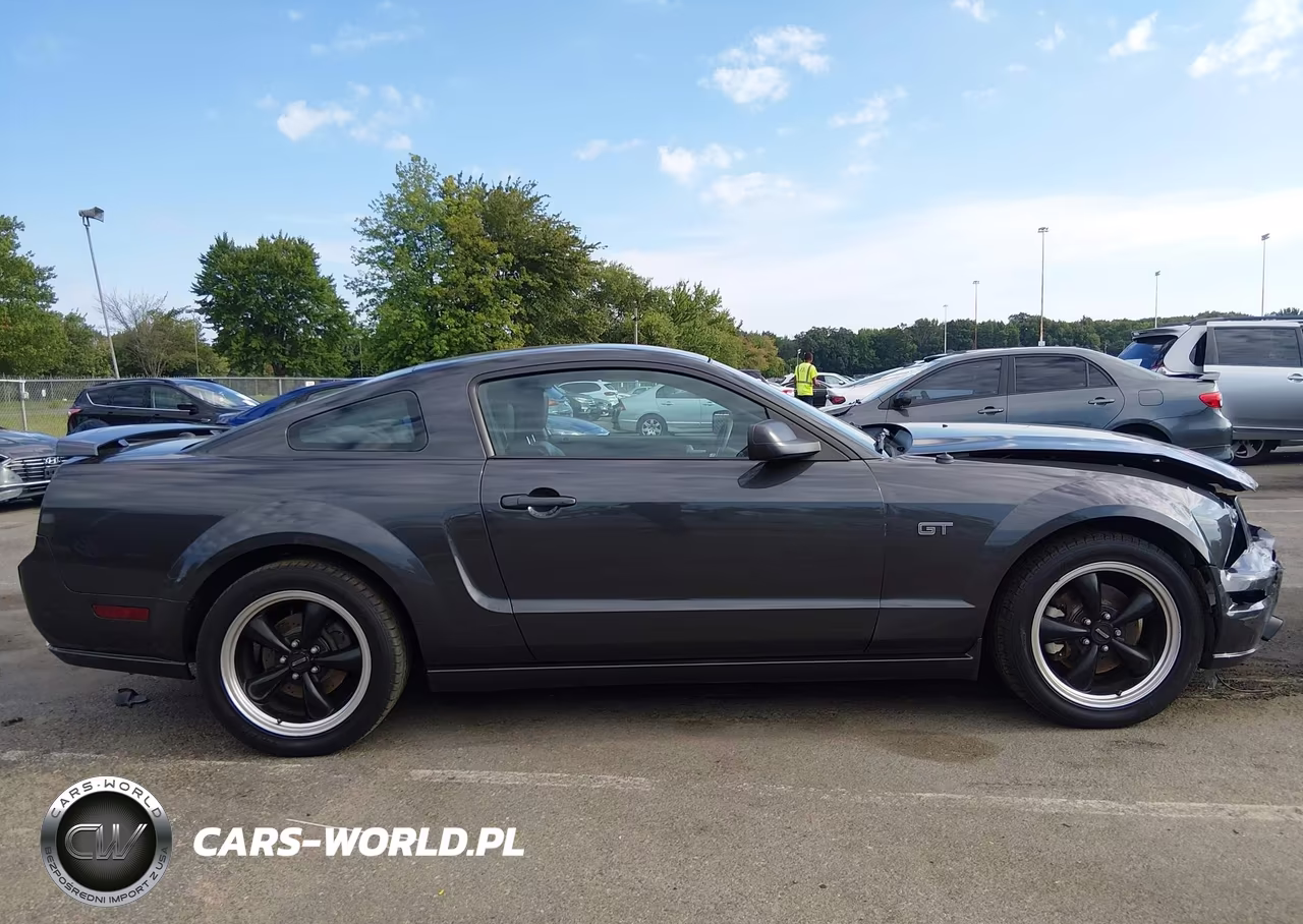 2008 Ford Mustang Gt Deluxe-Gt Premium VIN:1ZVHT82H785138688 - 13