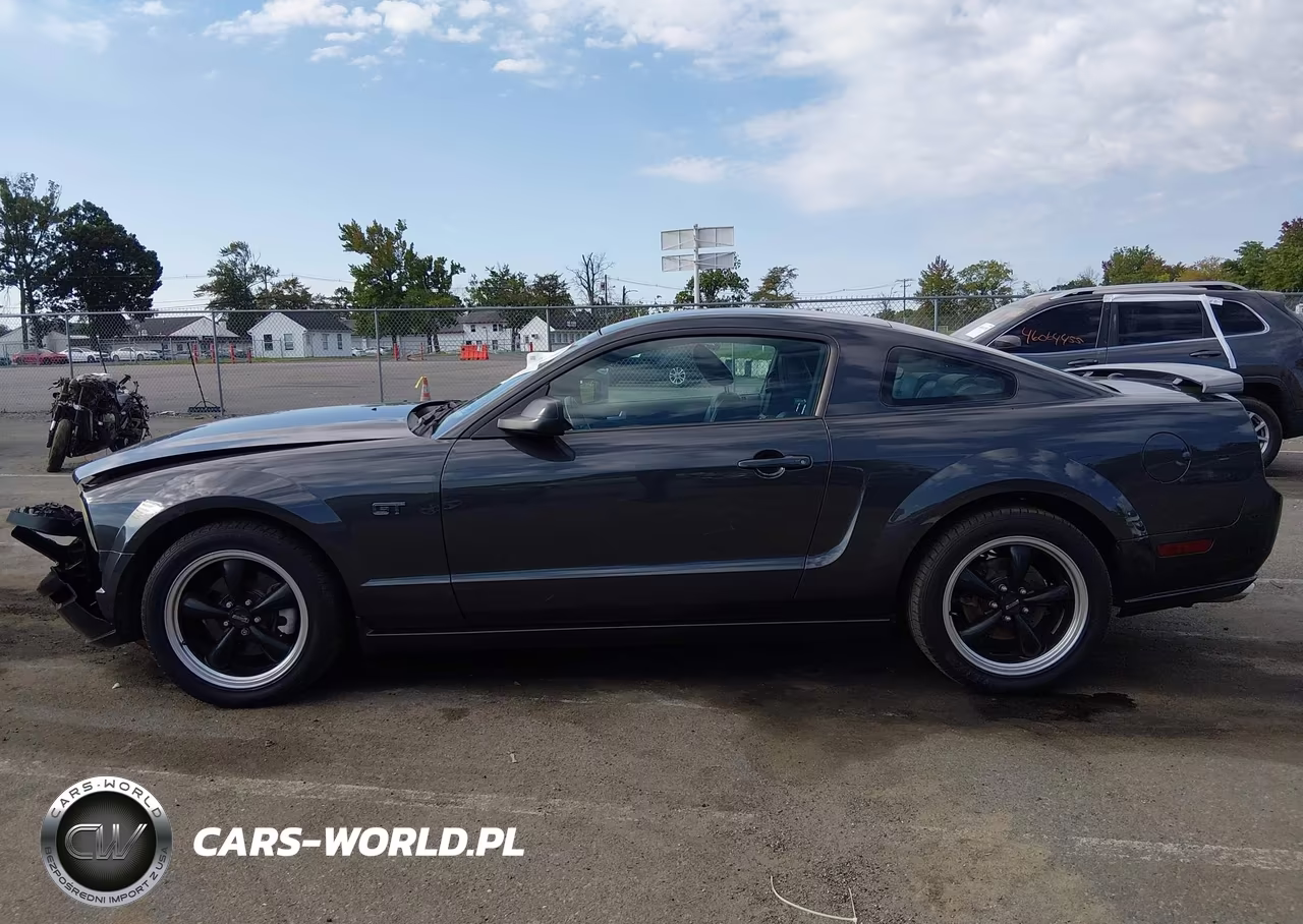 2008 Ford Mustang Gt Deluxe-Gt Premium VIN:1ZVHT82H785138688 - 14