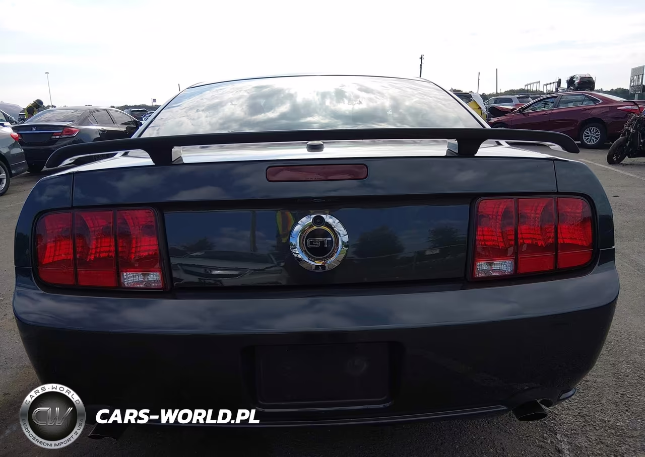 2008 Ford Mustang Gt Deluxe-Gt Premium VIN:1ZVHT82H785138688 - 16