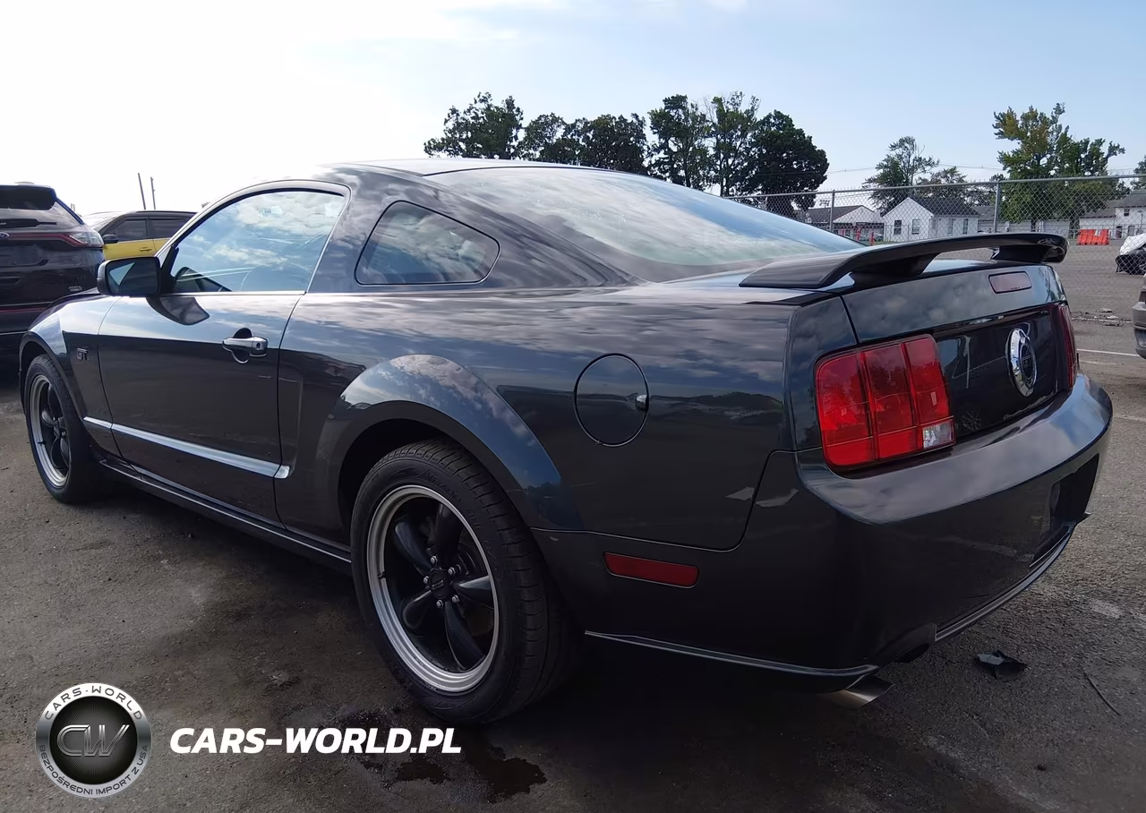 2008 Ford Mustang Gt Deluxe-Gt Premium VIN:1ZVHT82H785138688 - 3