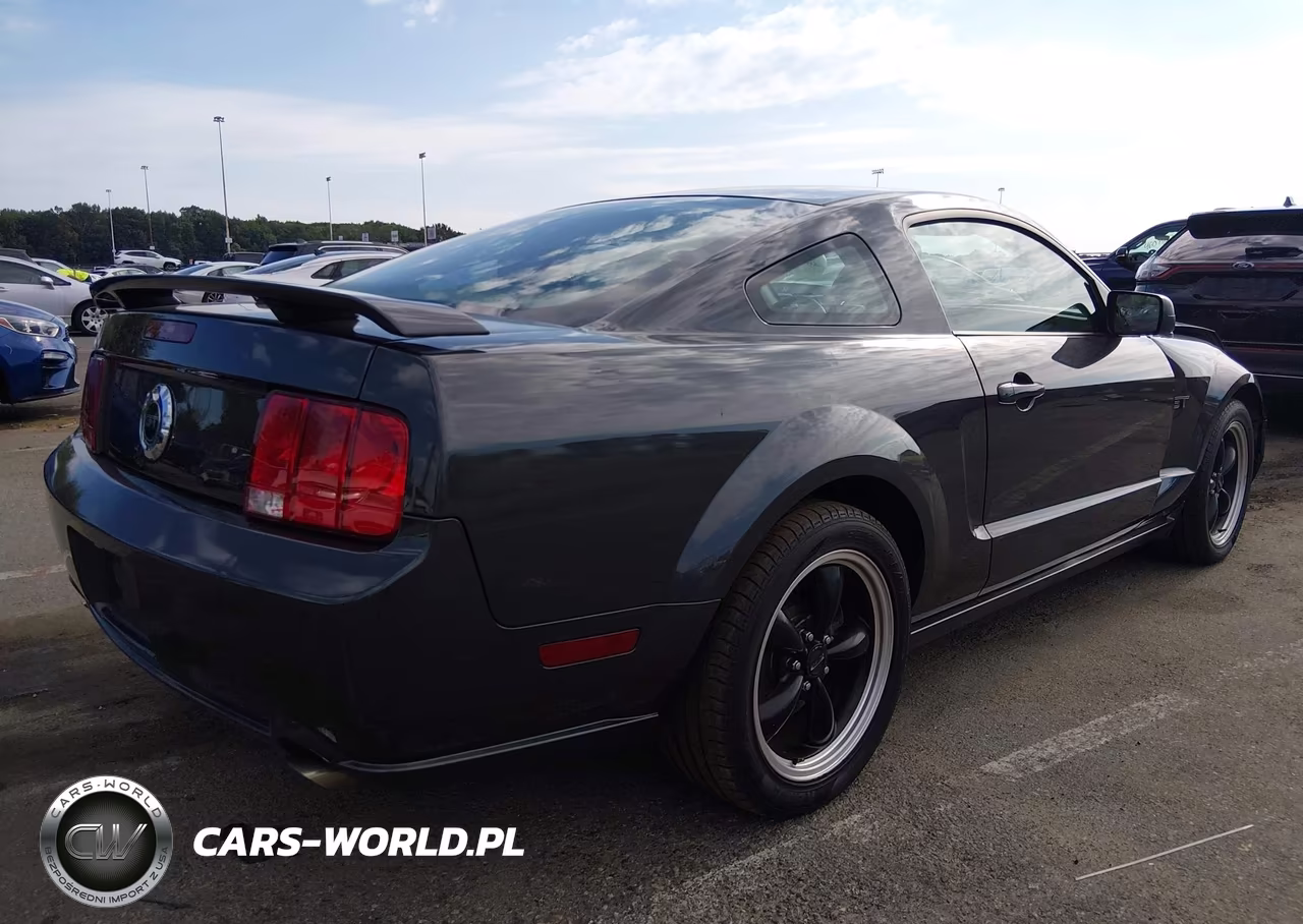 2008 Ford Mustang Gt Deluxe-Gt Premium VIN:1ZVHT82H785138688 - 4