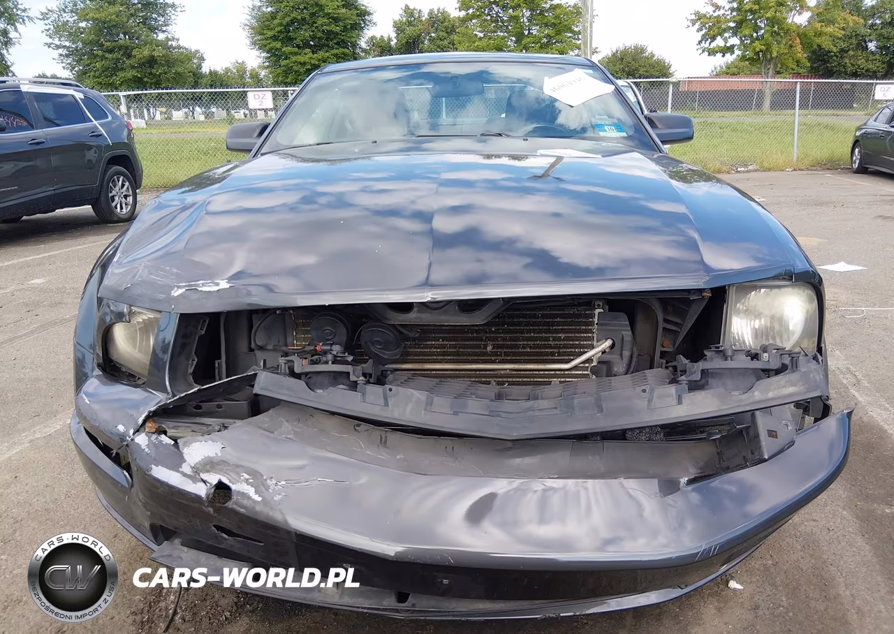 2008 Ford Mustang Gt Deluxe-Gt Premium VIN:1ZVHT82H785138688 - 6