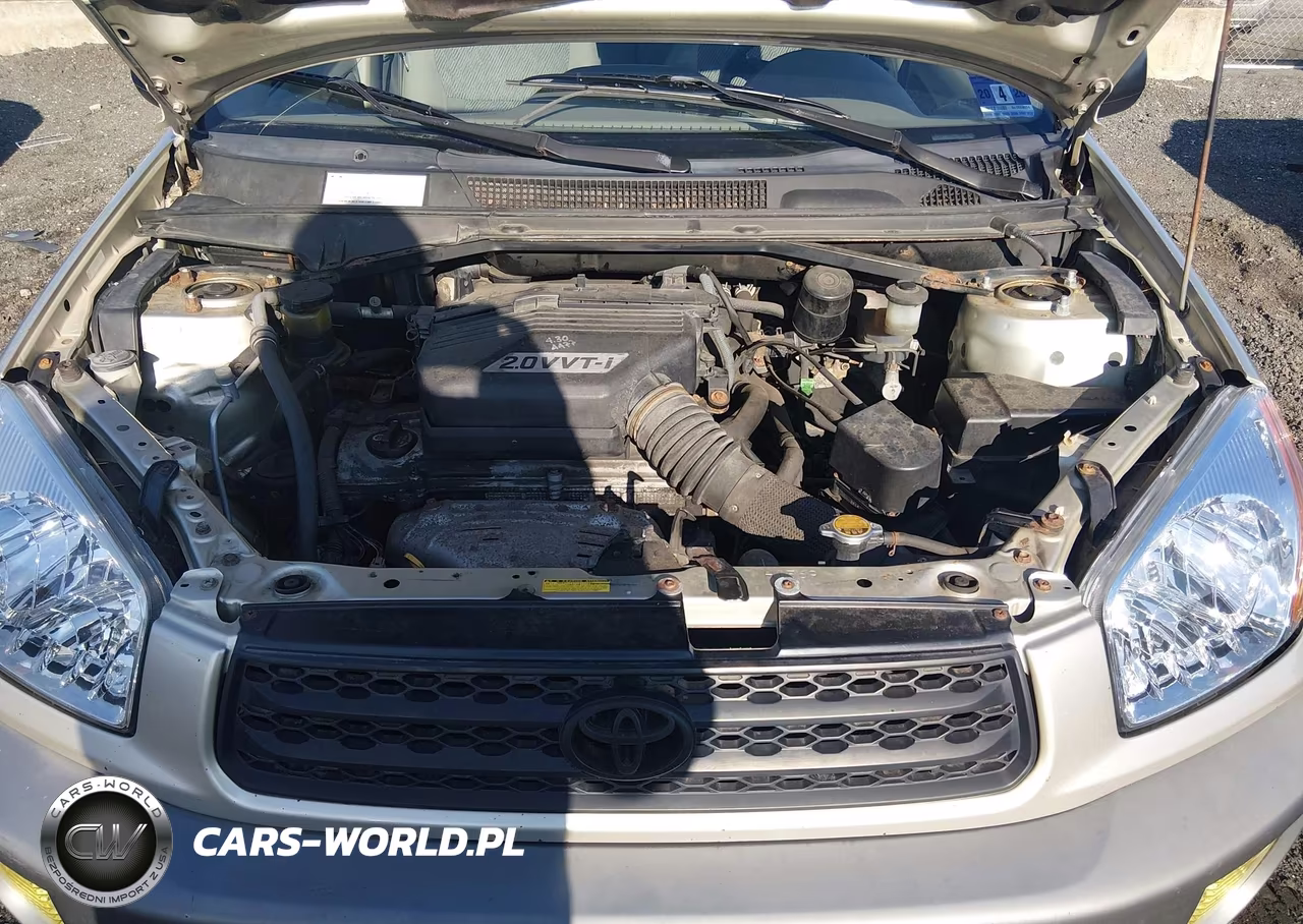 2002 Toyota Rav4 VIN:JTEGH20V720063027 - 10