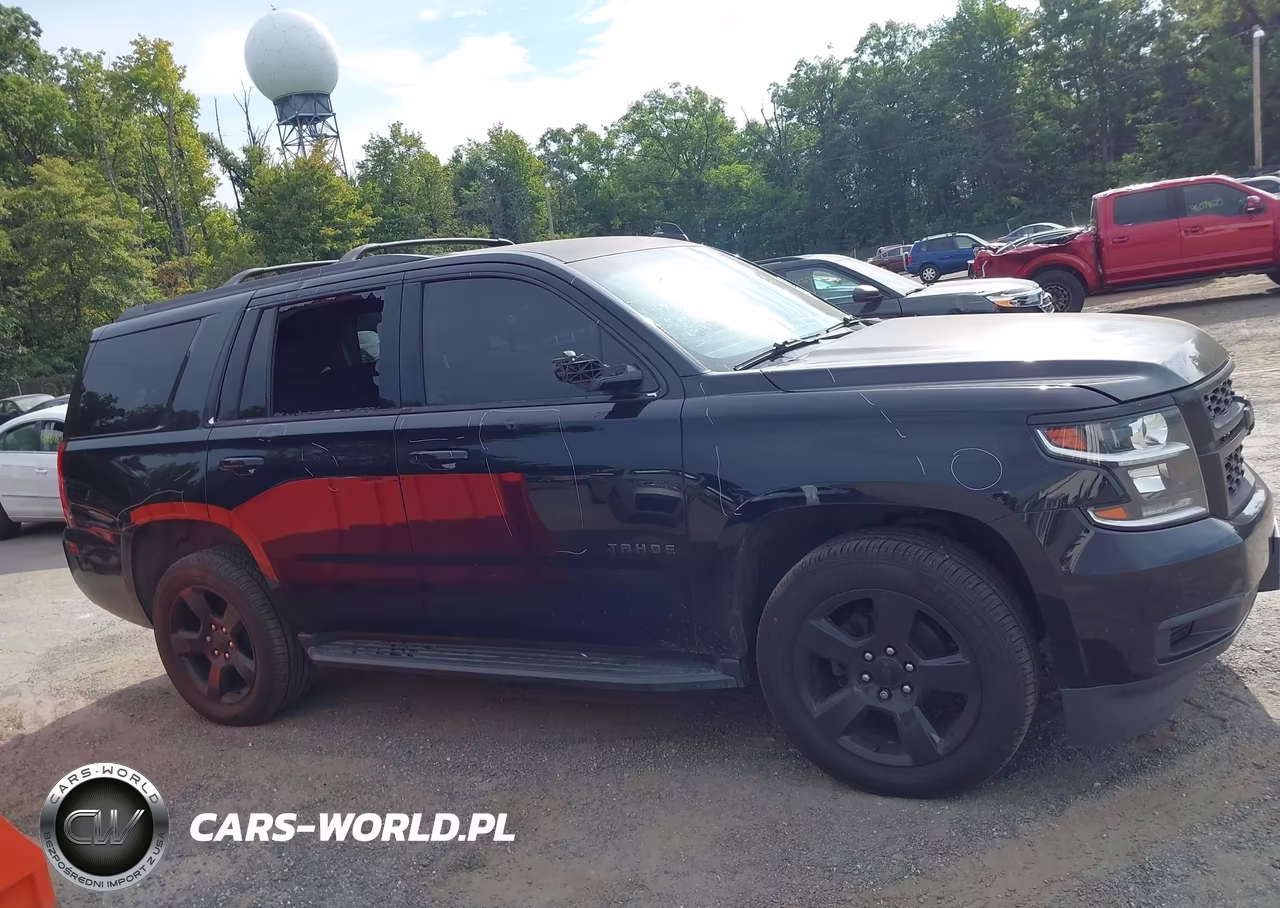 2016 Chevrolet Tahoe Ls VIN:1GNSKAKCXGR148248 - 13