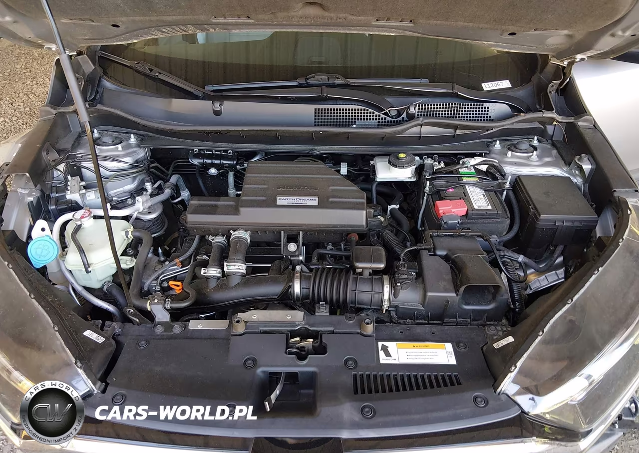 2021 Honda Cr-V 2Wd Lx VIN:5J6RW1H28ML004779 - 10