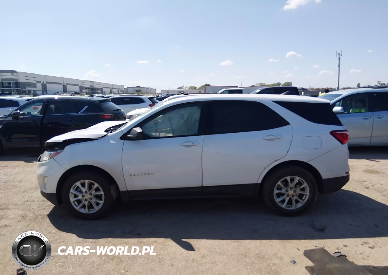 2019 Chevrolet Equinox Ls VIN:2GNAXHEV4K6198439 - 12