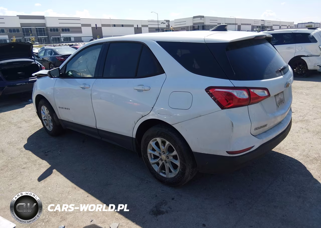 2019 Chevrolet Equinox Ls VIN:2GNAXHEV4K6198439 - 3