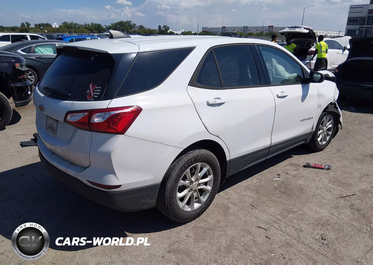2019 Chevrolet Equinox Ls VIN:2GNAXHEV4K6198439 - 4