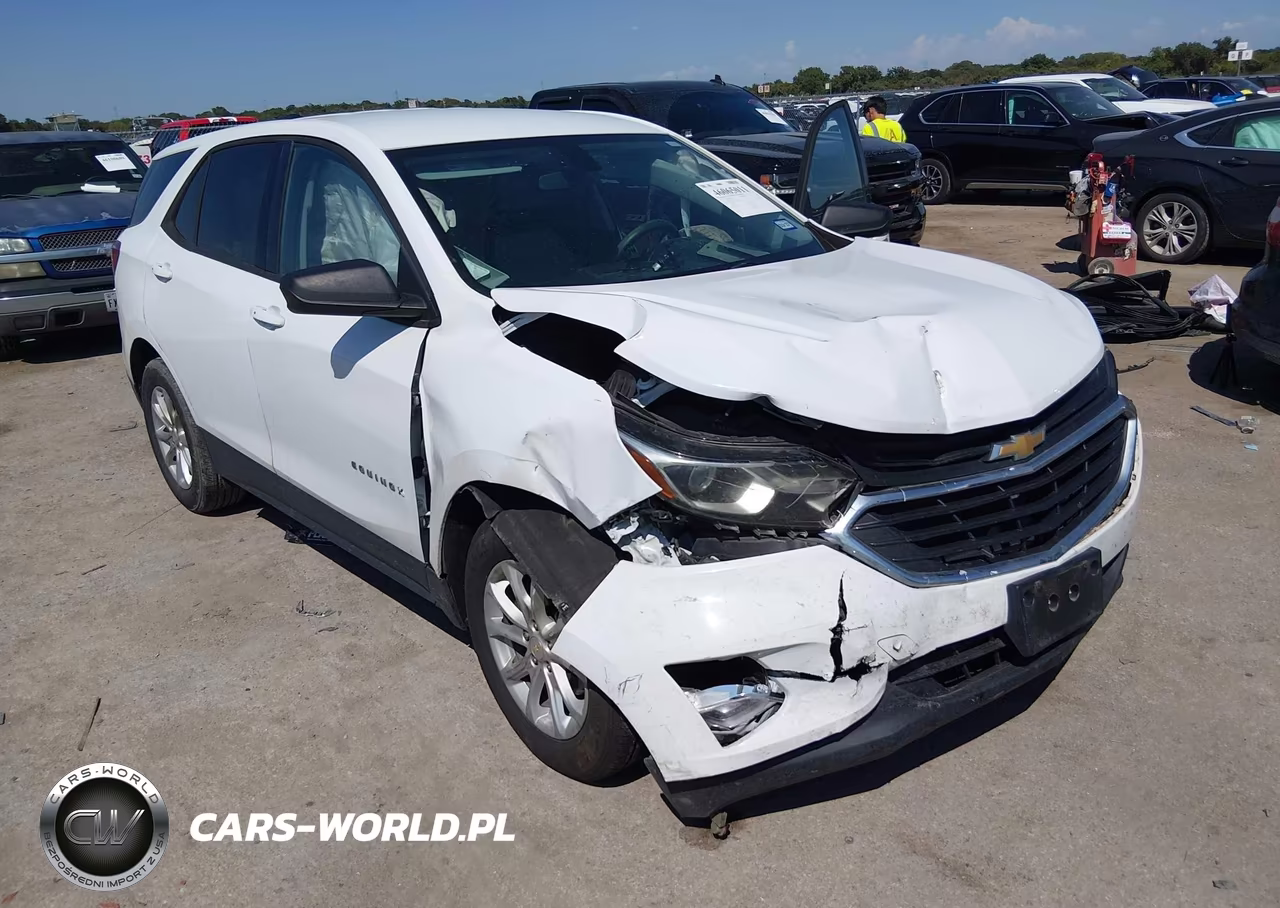 2019 Chevrolet Equinox Ls VIN:2GNAXHEV4K6198439 - 5