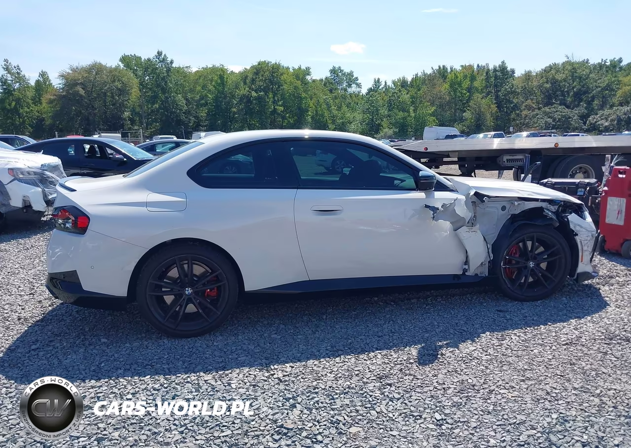 2023 BMW M240 I xDrive VIN:3MW53CM0XP8D11201 - 17