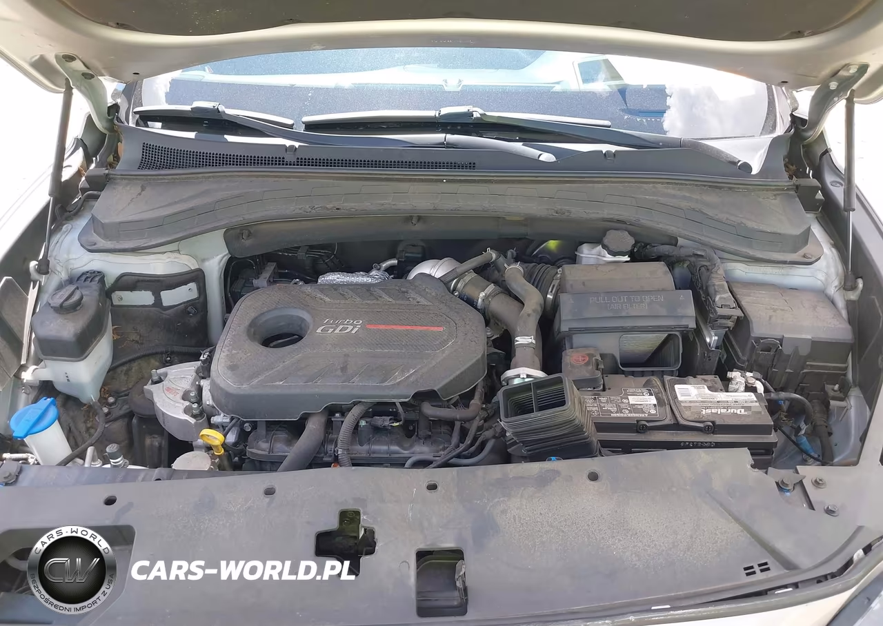 2020 Hyundai Santa Fe Limited 2.0T VIN:5NMS53AA2LH285050 - 10