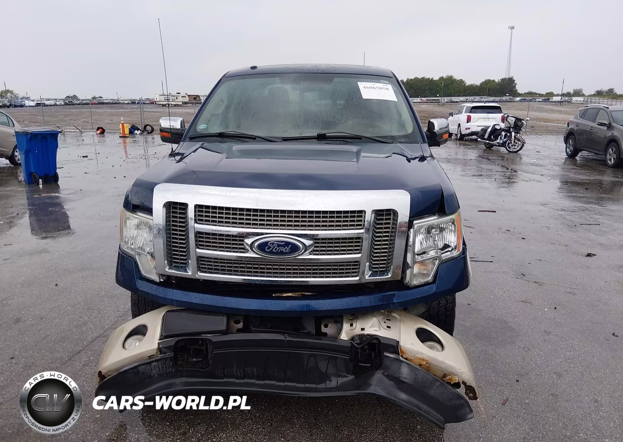 2010 Ford F-150 Fx4-Harley-Davidson-King Ranch-Lariat-Platinum-Xl-Xlt VIN:1FTFW1EV7AKA90305 - 13
