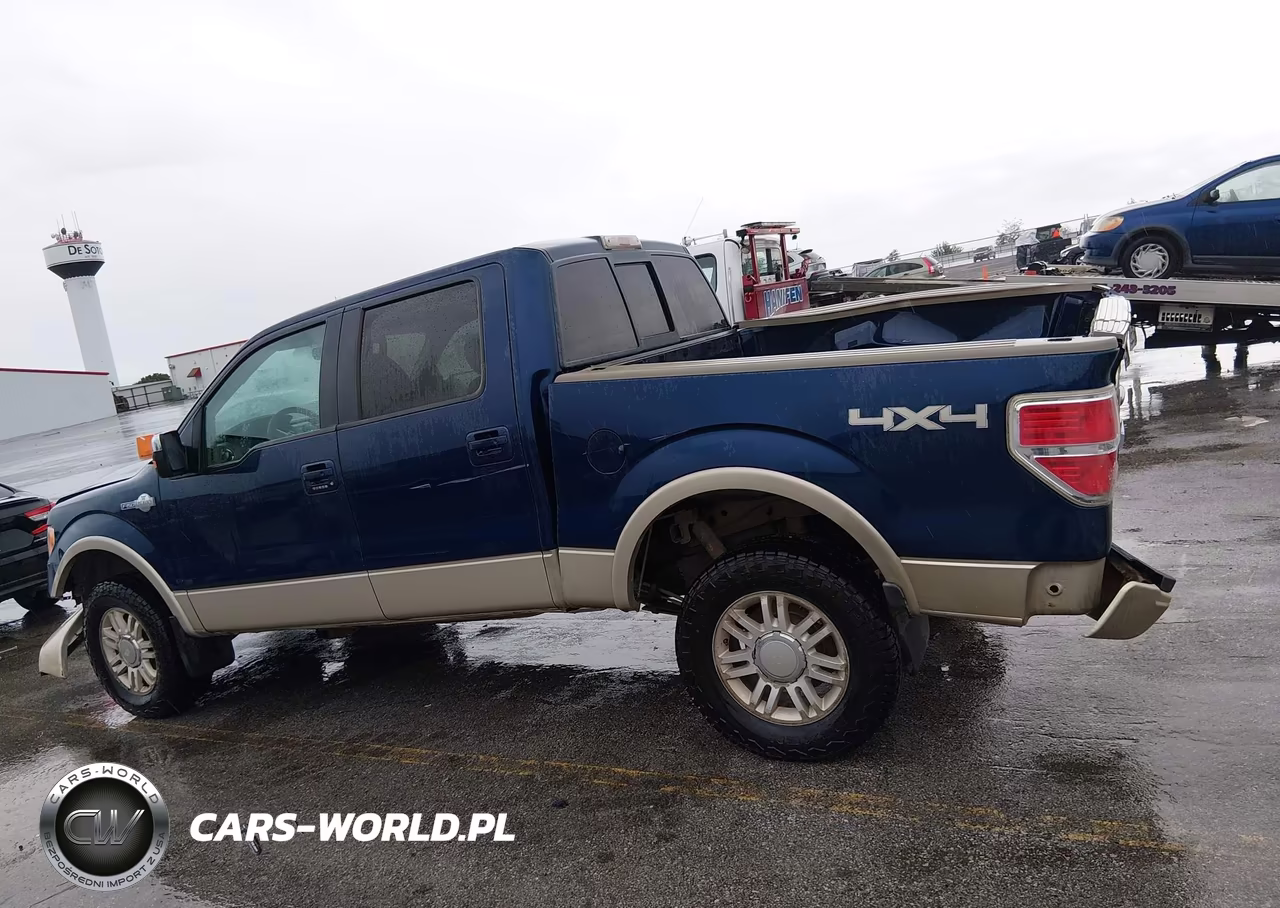 2010 Ford F-150 Fx4-Harley-Davidson-King Ranch-Lariat-Platinum-Xl-Xlt VIN:1FTFW1EV7AKA90305 - 15