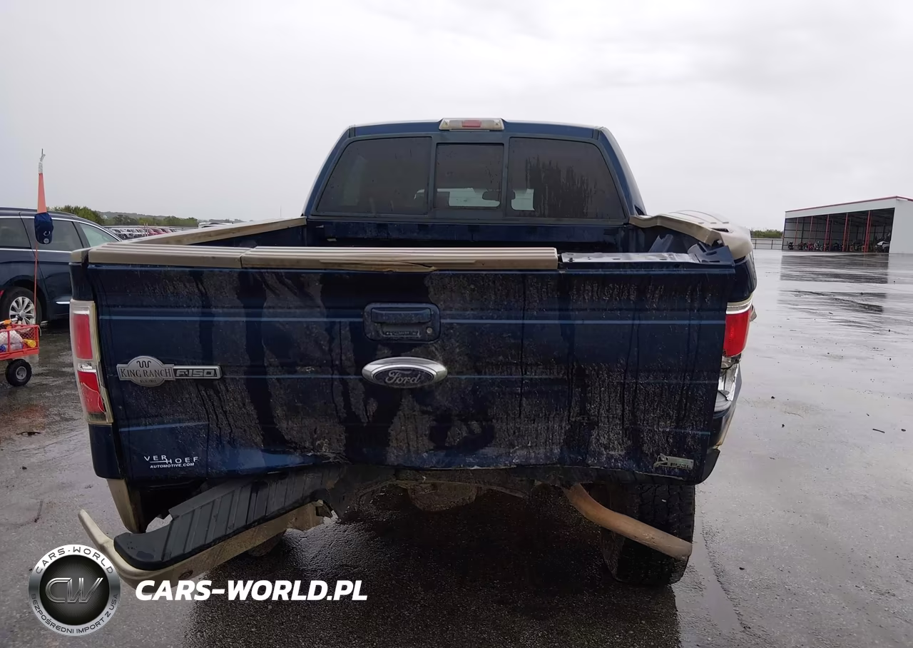 2010 Ford F-150 Fx4-Harley-Davidson-King Ranch-Lariat-Platinum-Xl-Xlt VIN:1FTFW1EV7AKA90305 - 17