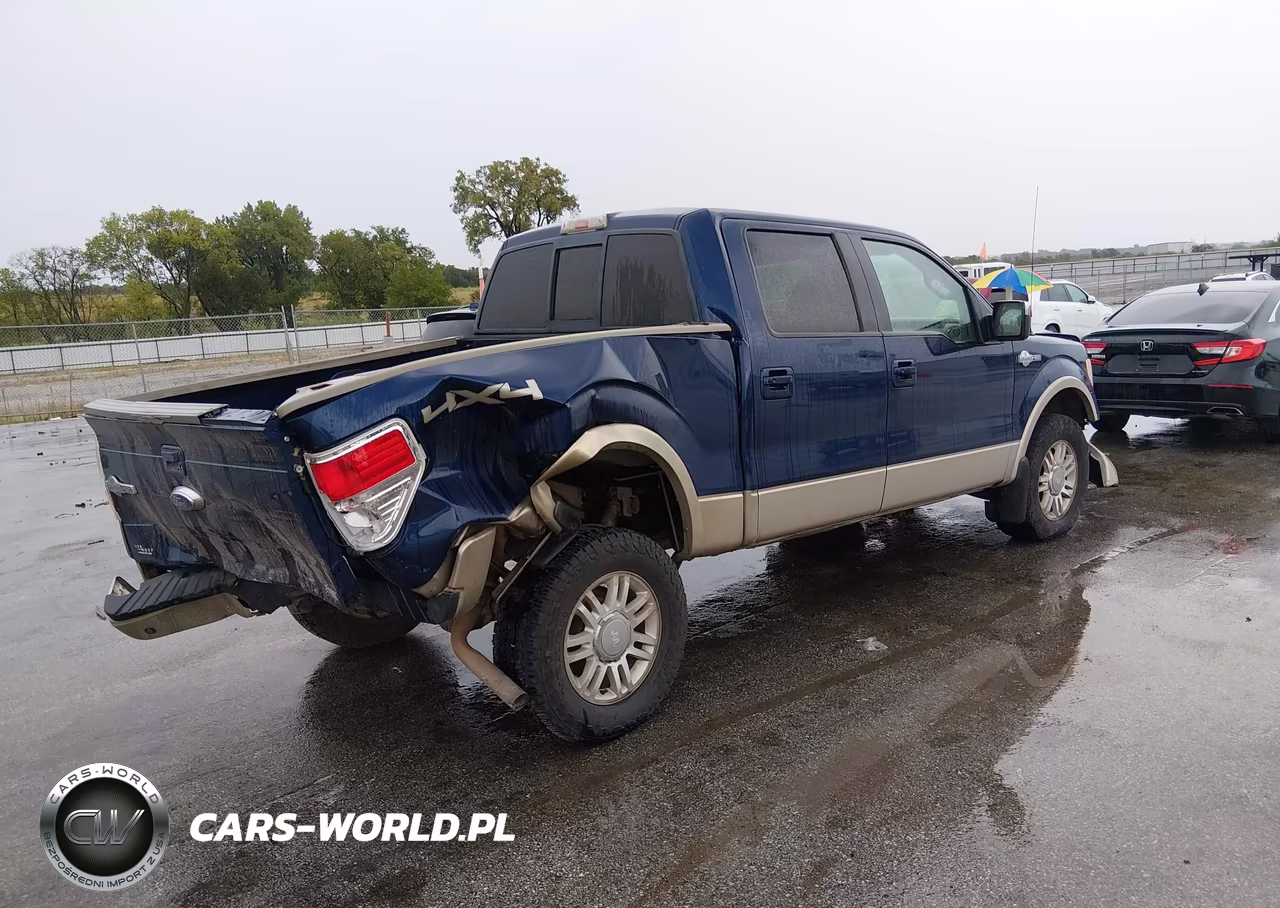 2010 Ford F-150 Fx4-Harley-Davidson-King Ranch-Lariat-Platinum-Xl-Xlt VIN:1FTFW1EV7AKA90305 - 4