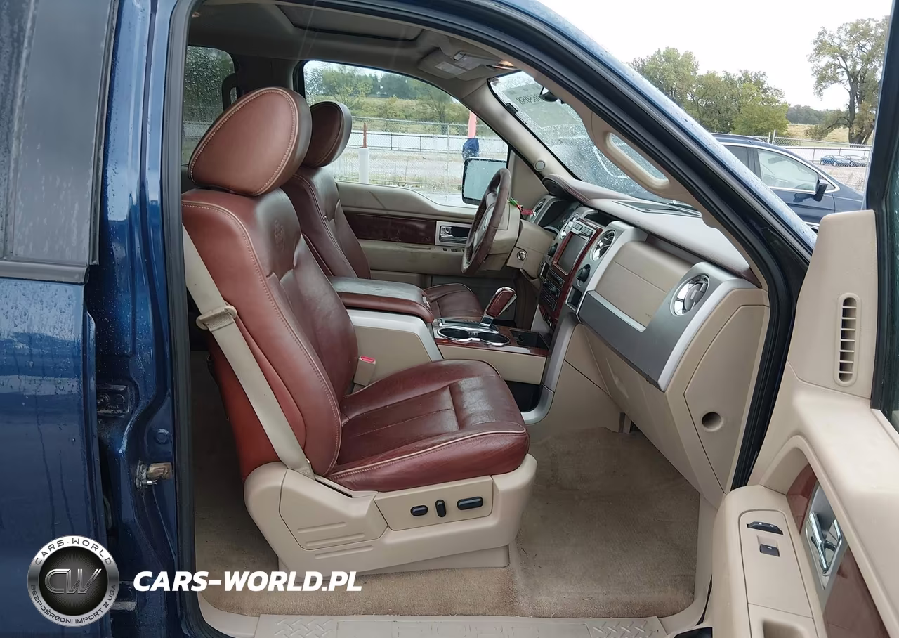 2010 Ford F-150 Fx4-Harley-Davidson-King Ranch-Lariat-Platinum-Xl-Xlt VIN:1FTFW1EV7AKA90305 - 5